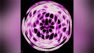~47Hz + 176Hz + 320Hz in 23mm bowl