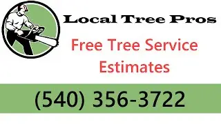 Tree Service Fredericksburg VA   Local Tree Pros