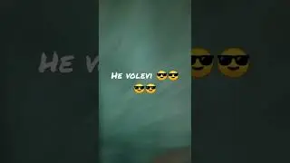 he volevi