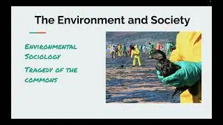 Chapter 20 Intro to Sociology