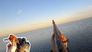 Texas Coast CAST & BLAST | Christmas Duck Hunting