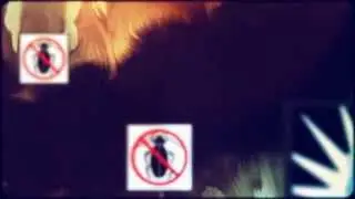 Pest Control Orangevale CA - (888) 458-0008