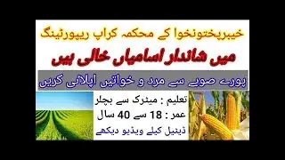How to apply In Crop Reporting Services KPK Jobs 2022 Online Form Download via ATS | Crop Reporting