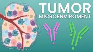 Multiplex analysis of the tumor microenvironment
