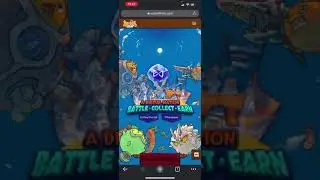 Axie Scholarship Program