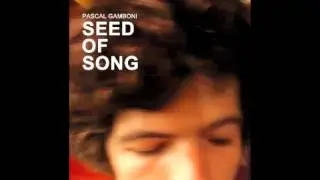 THE SHADOW OF THE WALL - Pascal Gamboni & Sun Gone Mad