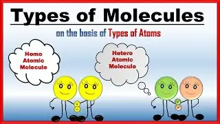What is the difference between Homoatomic and Heteroatomic Molecules with Examples | Molecules