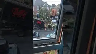 Time-lapse of tree cutting