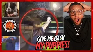 Woman gets into shootout with TEENS over EXOTIC PUPPIES!