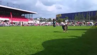 Andreas Keller & Roxana - 2014 UFO World Cup Finals - Freestyle Round 3 (top 10)