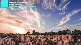 DJ Spyroof & DJ SparkyPlug - Melodic Tunes