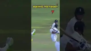 Best Cricket Moments!