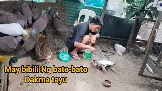 May bibili Isang pair na bato-bato