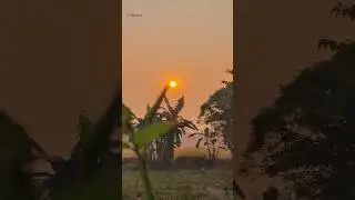VILLAGE LIFE IN INDIA || ANAND RANA