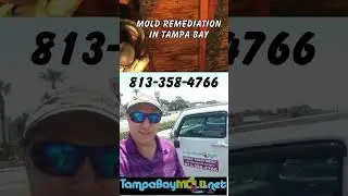 Mold Removal New Tampa FL 813-458-4766 TampaBayMold.net #blackmold #moldremoval