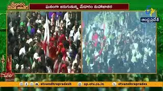 Medaram Jatara | Sammakka&rsquo;s Arrival from Chilakalagutta Amid Devotees&rsquo; Chants