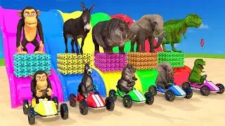 Choose The Right Slide Ball Ride Game With Monkey Duck Rhinocero Elephant Dinosaur run Race 01
