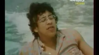 Laurent voulzy - Le coeur grenadine (Exclusif 25-06-1979) .avi