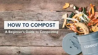 4 Ways to Compost and 5 Reasons to Try it!