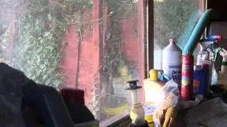 The Shed