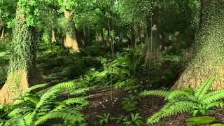Paleocene Rain Forest: Golden, Colorado, 64 Million Years Ago