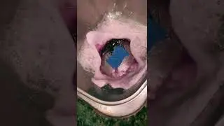 Cleaning my moms sink! Loved the colors of the suds!  #cleantok #spongerinse #cleantok #cleaning