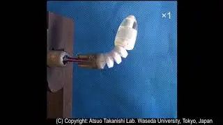 2020 WATER-5 : Underactuated Active bending module
