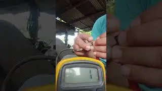 Cara Cek Sensor ABS Yang Rusak dan yang Bagus | #bewokbengkel @JokoRiyanto_Tsn