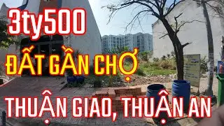 Tập 77) ĐẤT 3TY500,THUẬN GIAO,THUẬN AN. LH 0866943473 