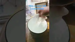 The best way to kill cockroaches  ￼