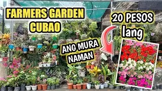 FARMERS GARDEN CUBAO PLANTS FOR SALE 2021 | PLANT TOUR UPDATE