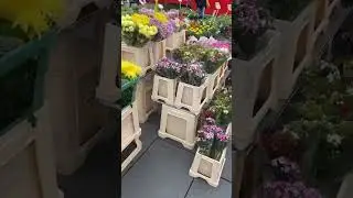 Галле, Саксония-Анхальт🤗 Halle(Saale), Sachsen-Anhalt