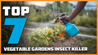 7 Best Insect Killers for Vegetable Garden Protection