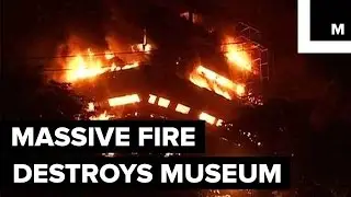 Massive Fire Destroys India's National Museum of Natural History