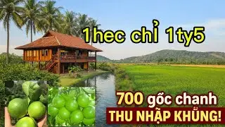 Bán vườn chanh ao cá thu nhập cao 1hec chỉ 1ty5 ở định quán đồng nai.