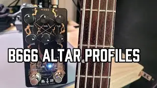 LICHTLAERM ALTAR BASS PROFILES DEMO