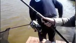 Взял первый раз жену на трофейную рыбалку, ее первая большая рыба.
