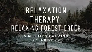 Relaxation Therapy: Relaxing Forest Creek - 5 minutes calming experience - Nature Video Relaxation
