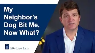 Houston Dog Bite Attorney Explains What to do If You Are Bitten by Your Neighbors Dog