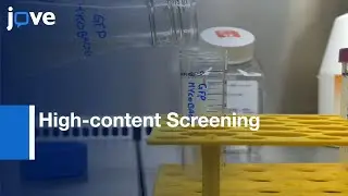 High-content Screening of Mycobacteria by Microscopic Phenotypic Assay | Protocol Preview