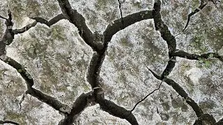 Let's Zoom and Enhance