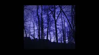 Ambivalent  (Full album)