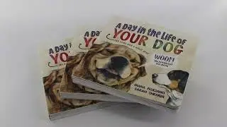 Where I can find high quality children sound book printing factory from China. BOOKPRINTINGCHINA.COM