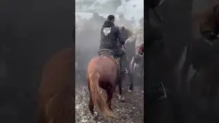 улак кайнаптырго чиркин