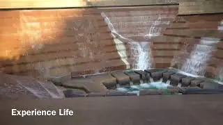 Fort Worth Water Gardens: A Tranquil Oasis in the Heart of the City