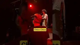 CHICO CHICO, VILA DO SUCESSEGO