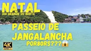 como &eacute; o passeio de jangalancha? quanto custa? natal ponta negra 🤿☀️😉 #natal #subscribe