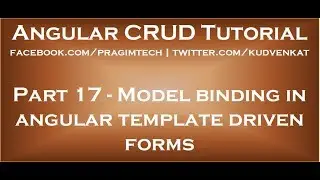Model binding in angular template driven forms