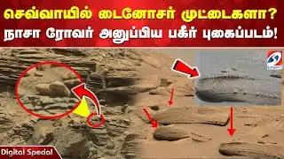 MARS | dinosaur | செவ்வாயில் டைனோசர் முட்டைகளாq நாசா ரோவர் அனுப்பிய பகீர் புகைப்படம்!