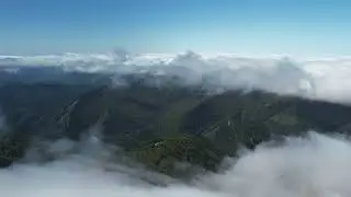 selva irati y el orhy